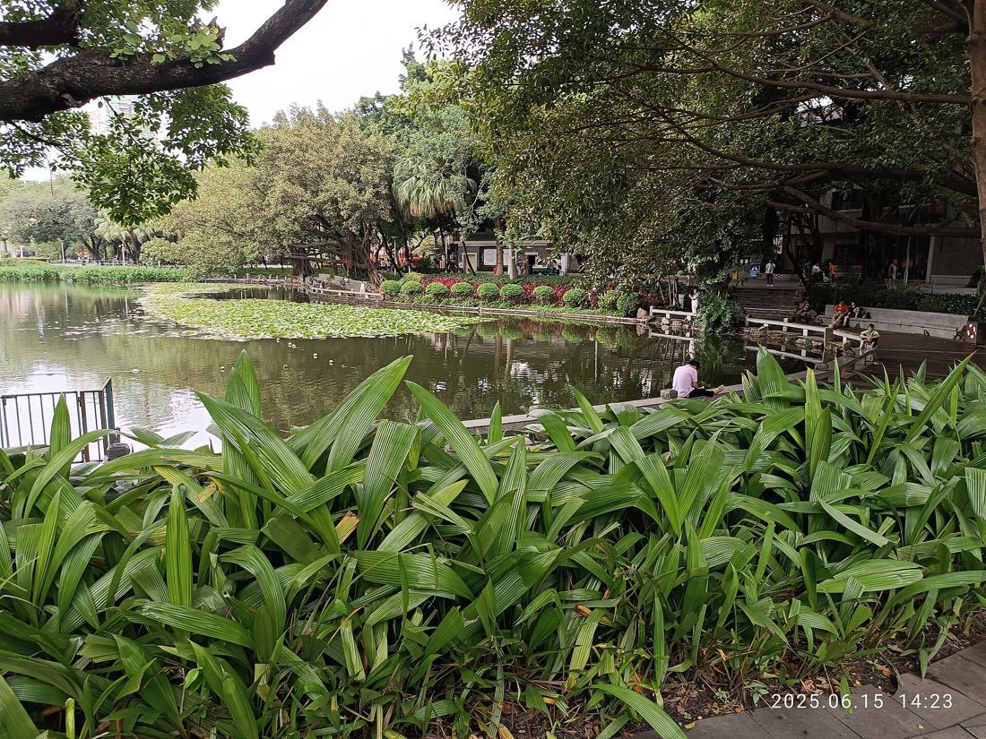 Liwan Lake Park in Guangzhou